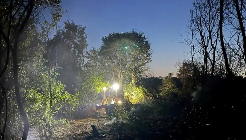 Edirne'de Orman Yangını Kontrol Altına Alındı: Çalışmalar Hızla Sürüyor