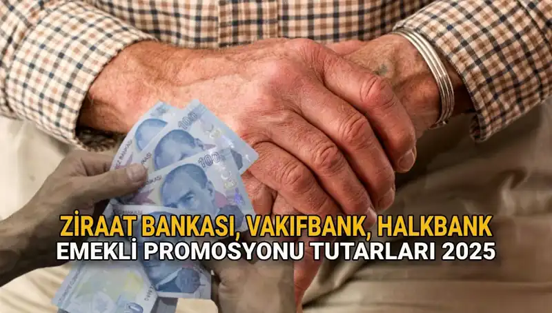 2025'te Emeklilere Sunulan Dev Banka Promosyonları: Ziraat, Vakıfbank ve Halkbank
