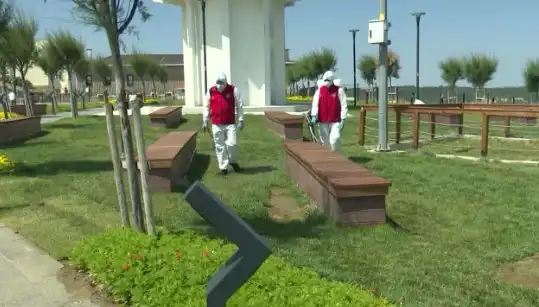 Kene Tehlikesi Artıyor: Halka Açık Alanlarda Acil İlaçlama İhtiyacı
