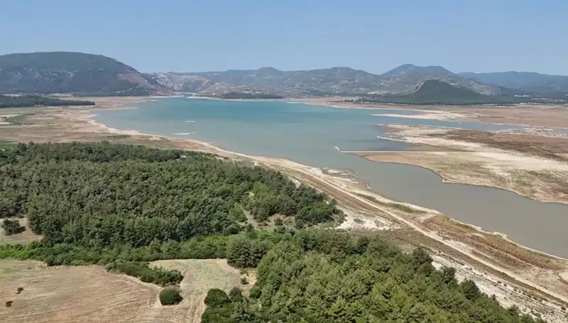 İzmir'de Tehlike Çanları: Kriz Belirtileri ve Yüzde 50'lik Düşüş Nedenleri