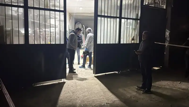 İş Yerinde Şok Edici Cinayet: Battaniyeye Sarılı Ceset ile Gerçekler Ortaya Çıktı