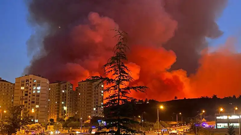 Bursa'da Yangın Alarmı: Şehirdeki Korkutucu Yangınlar Hızla Yayılıyor