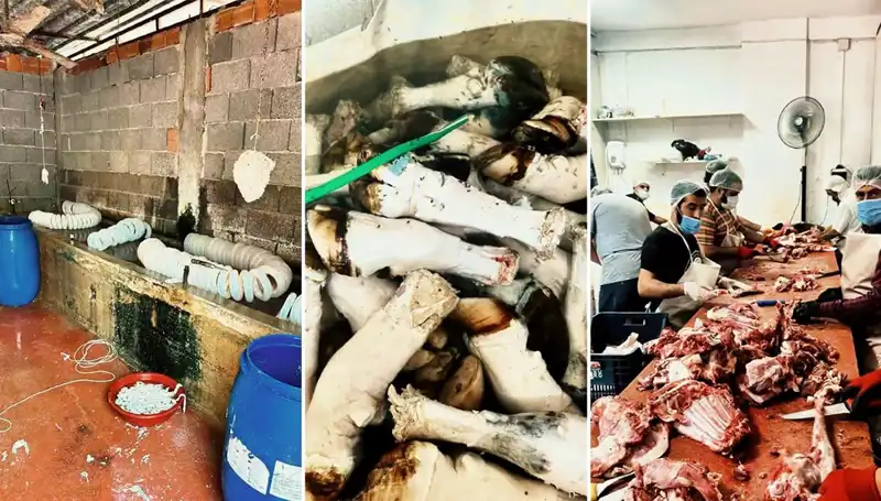 Adana'da Şok Eden Paça Operasyonu: Yüzlerce Kilo Ele Geçirildi!