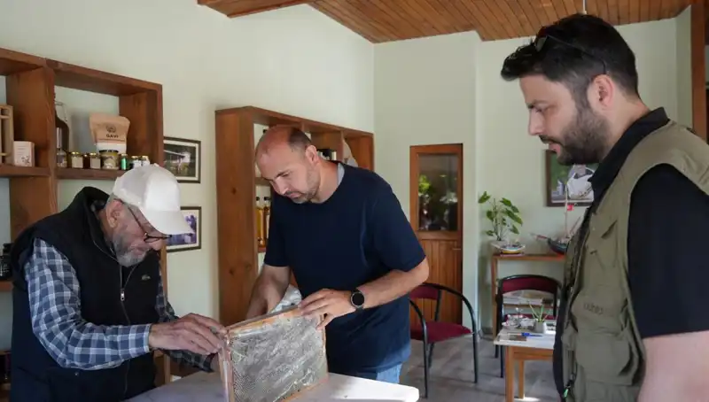 Doktorlar Uyarıyor: Bu Mucizevi Besin Hem Şifa Hem Tehlike Taşıyor!
