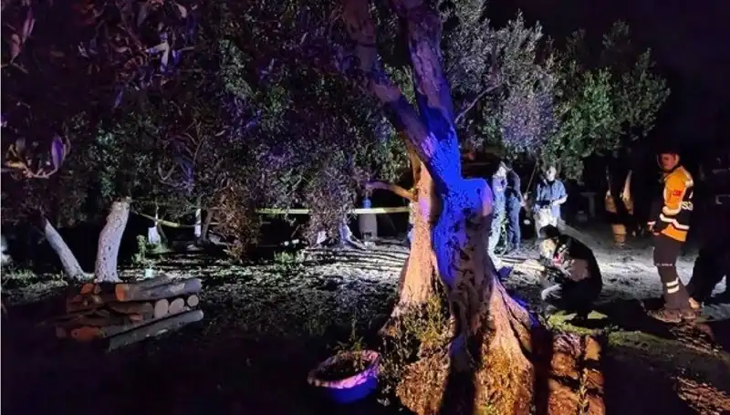 Çiftlikte Baltalı Vahşet: Gözaltındaki Şüpheliden İlk Açıklamalar Geldi!